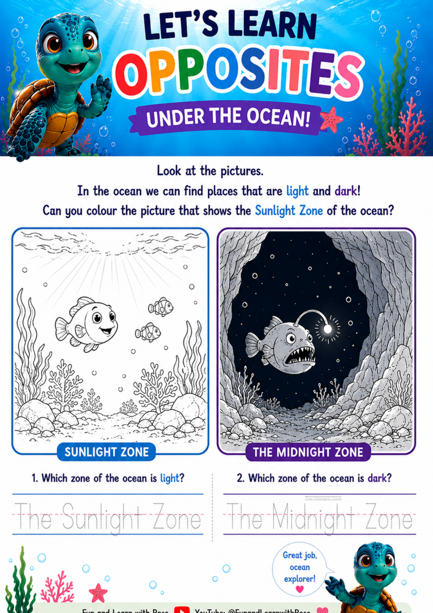 Light and dark ocean zones worksheet preview