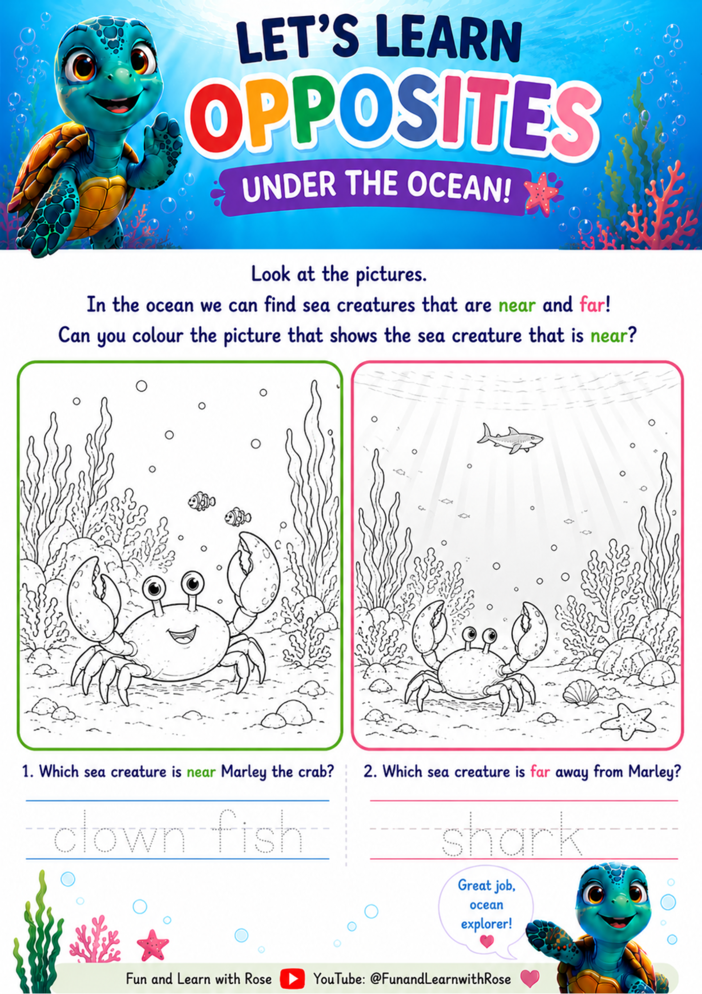 Near and far ocean worksheet preview