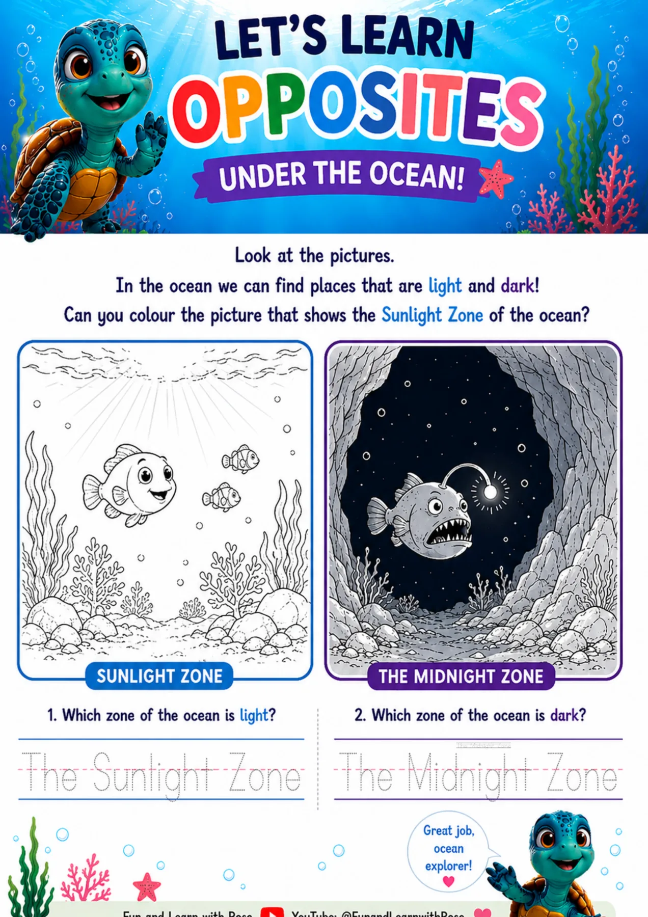 Light and dark ocean zones worksheet preview
